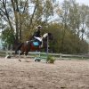 bABIE lATO 2018